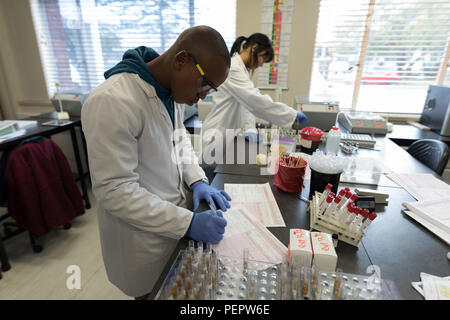 Tecnico di laboratorio di verifica delle fatture Foto Stock