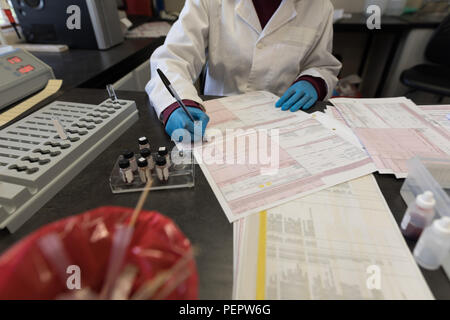 Tecnico di laboratorio di verifica delle fatture Foto Stock