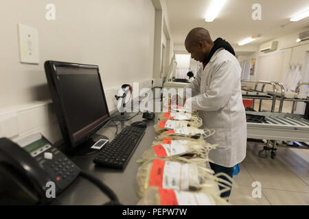 Tecnico di laboratorio analisi di sacche di plasma Foto Stock