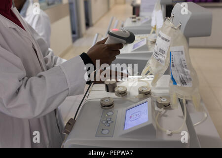 Tecnico di laboratorio di scansione del codice a barre delle sacche di plasma Foto Stock