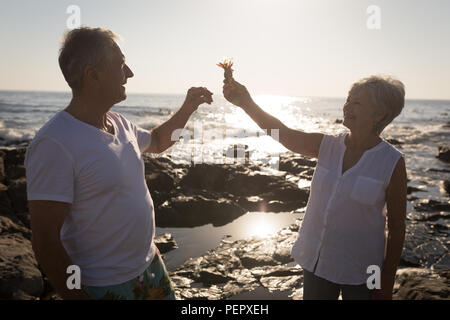 Coppia senior giocando con uccello vicino al mare 4k Foto Stock