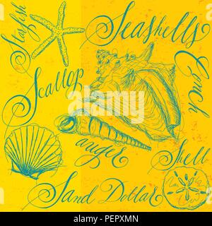 Conchiglie con la calligrafia. Sketchy, disegnati a mano con conchiglie seashell nomi in calligrafia. Illustrazione Vettoriale