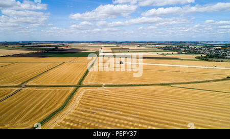 Le riarse campi nei pressi,Ely Cambs,Mercoledì 1 Agosto 2108 dopo l'ondata di caldo di quest'estate.Oggi gli agricoltori sono in possesso di un vertice della siccità con il governo. Il sindacato nazionale degli agricoltori (NFU) incontrerà funzionari a Londra oggi (MER) per discutere "polveriera" le condizioni che hanno ridotto la crescita di erba e di "uranio' alcuni rese. NFU presidente Minette pastelle detto lei proverà ad impressionare su ambiente segretario Michael Gove presso la "estremamente importante" colloqui sfide che gli agricoltori si trovano di fronte a seguito della grave mancanza di pioggia. Foto Stock