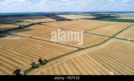 Le riarse campi nei pressi,Ely Cambs,Mercoledì 1 Agosto 2108 dopo l'ondata di caldo di quest'estate.Oggi gli agricoltori sono in possesso di un vertice della siccità con il governo. Il sindacato nazionale degli agricoltori (NFU) incontrerà funzionari a Londra oggi (MER) per discutere "polveriera" le condizioni che hanno ridotto la crescita di erba e di "uranio' alcuni rese. NFU presidente Minette pastelle detto lei proverà ad impressionare su ambiente segretario Michael Gove presso la "estremamente importante" colloqui sfide che gli agricoltori si trovano di fronte a seguito della grave mancanza di pioggia. Foto Stock