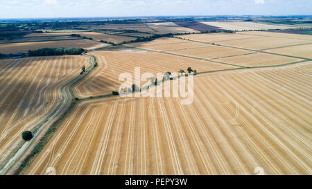 Le riarse campi nei pressi,Ely Cambs,Mercoledì 1 Agosto 2108 dopo l'ondata di caldo di quest'estate.Oggi gli agricoltori sono in possesso di un vertice della siccità con il governo. Il sindacato nazionale degli agricoltori (NFU) incontrerà funzionari a Londra oggi (MER) per discutere "polveriera" le condizioni che hanno ridotto la crescita di erba e di "uranio' alcuni rese. NFU presidente Minette pastelle detto lei proverà ad impressionare su ambiente segretario Michael Gove presso la "estremamente importante" colloqui sfide che gli agricoltori si trovano di fronte a seguito della grave mancanza di pioggia. Foto Stock