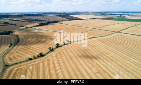 Le riarse campi nei pressi,Ely Cambs,Mercoledì 1 Agosto 2108 dopo l'ondata di caldo di quest'estate.Oggi gli agricoltori sono in possesso di un vertice della siccità con il governo. Il sindacato nazionale degli agricoltori (NFU) incontrerà funzionari a Londra oggi (MER) per discutere "polveriera" le condizioni che hanno ridotto la crescita di erba e di "uranio' alcuni rese. NFU presidente Minette pastelle detto lei proverà ad impressionare su ambiente segretario Michael Gove presso la "estremamente importante" colloqui sfide che gli agricoltori si trovano di fronte a seguito della grave mancanza di pioggia. Foto Stock