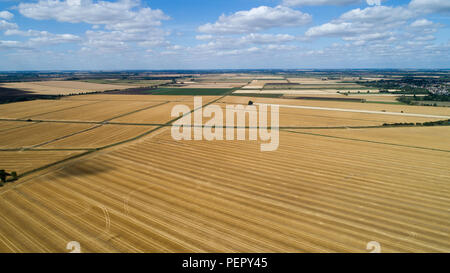 Le riarse campi nei pressi,Ely Cambs,Mercoledì 1 Agosto 2108 dopo l'ondata di caldo di quest'estate.Oggi gli agricoltori sono in possesso di un vertice della siccità con il governo. Il sindacato nazionale degli agricoltori (NFU) incontrerà funzionari a Londra oggi (MER) per discutere "polveriera" le condizioni che hanno ridotto la crescita di erba e di "uranio' alcuni rese. NFU presidente Minette pastelle detto lei proverà ad impressionare su ambiente segretario Michael Gove presso la "estremamente importante" colloqui sfide che gli agricoltori si trovano di fronte a seguito della grave mancanza di pioggia. Foto Stock