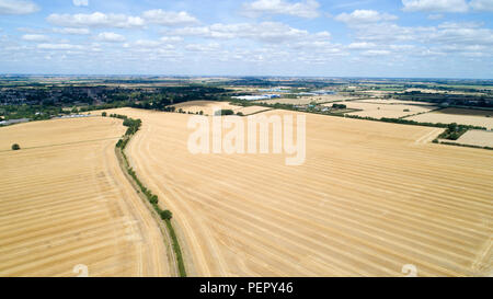 Le riarse campi nei pressi,Ely Cambs,Mercoledì 1 Agosto 2108 dopo l'ondata di caldo di quest'estate.Oggi gli agricoltori sono in possesso di un vertice della siccità con il governo. Il sindacato nazionale degli agricoltori (NFU) incontrerà funzionari a Londra oggi (MER) per discutere "polveriera" le condizioni che hanno ridotto la crescita di erba e di "uranio' alcuni rese. NFU presidente Minette pastelle detto lei proverà ad impressionare su ambiente segretario Michael Gove presso la "estremamente importante" colloqui sfide che gli agricoltori si trovano di fronte a seguito della grave mancanza di pioggia. Foto Stock