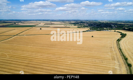 Le riarse campi nei pressi,Ely Cambs,Mercoledì 1 Agosto 2108 dopo l'ondata di caldo di quest'estate.Oggi gli agricoltori sono in possesso di un vertice della siccità con il governo. Il sindacato nazionale degli agricoltori (NFU) incontrerà funzionari a Londra oggi (MER) per discutere "polveriera" le condizioni che hanno ridotto la crescita di erba e di "uranio' alcuni rese. NFU presidente Minette pastelle detto lei proverà ad impressionare su ambiente segretario Michael Gove presso la "estremamente importante" colloqui sfide che gli agricoltori si trovano di fronte a seguito della grave mancanza di pioggia. Foto Stock