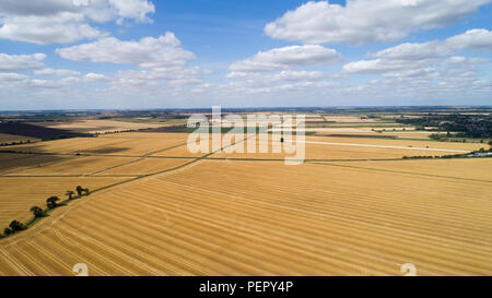 Le riarse campi nei pressi,Ely Cambs,Mercoledì 1 Agosto 2108 dopo l'ondata di caldo di quest'estate.Oggi gli agricoltori sono in possesso di un vertice della siccità con il governo. Il sindacato nazionale degli agricoltori (NFU) incontrerà funzionari a Londra oggi (MER) per discutere "polveriera" le condizioni che hanno ridotto la crescita di erba e di "uranio' alcuni rese. NFU presidente Minette pastelle detto lei proverà ad impressionare su ambiente segretario Michael Gove presso la "estremamente importante" colloqui sfide che gli agricoltori si trovano di fronte a seguito della grave mancanza di pioggia. Foto Stock