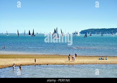 Il Solent e l'Isola di Wight durante la Cowes Week visto dalla spiaggia di Lepe Inghilterra Hampshire REGNO UNITO Foto Stock