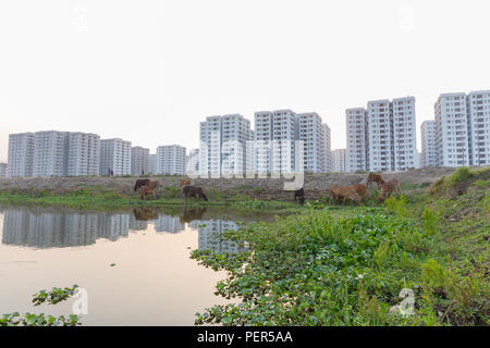 Desparate Urbanigation, Dacca in Bangladesh Foto Stock