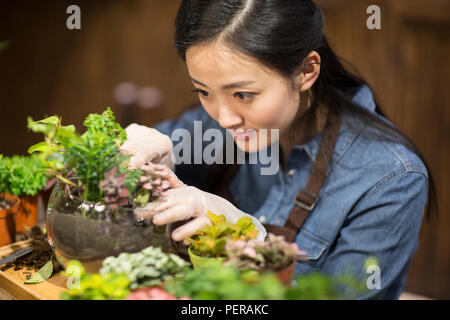 Giovane donna che lavorano nel negozio di vegetali Foto Stock