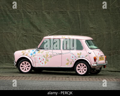 2000 Rover Mini flower verniciato. Foto Stock