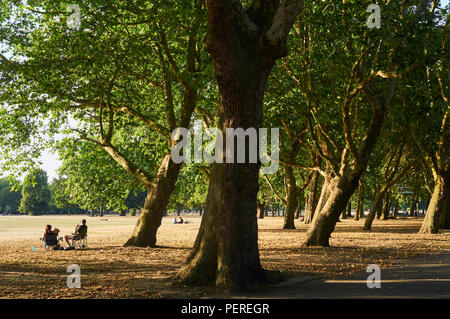 La gente seduta sotto il sole tra gli alberi in Victoria Park, East London, Regno Unito Foto Stock