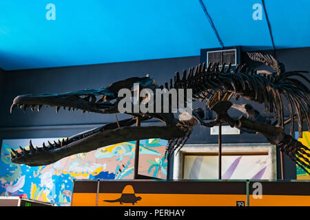 7 giugno 2018, Milano, Italia: esposizioni di dinosauri preistorici animali nel Museo di Storia Naturale di Milano. Foto Stock