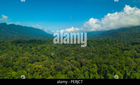 Una vasta, antenna fuco foto sopra la foresta pluviale tropicale con ripide creste montane sulla sinistra e sulla destra. Canyon Imbak Area di Conservazione, Sabah, Malaysia Foto Stock