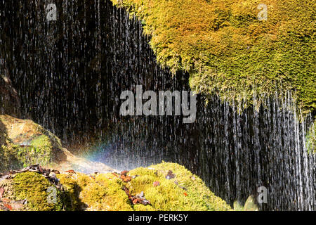 Three-Mill cascata, Hillesheim, Germania Moss rocce coperte con grotta dietro Foto Stock