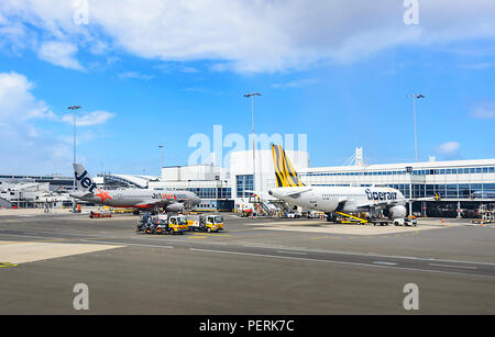 Jetstar Tigerair e aeroplani di linea alla porta sull'asfalto, dall'Aeroporto di Sydney, terminale domestico, Nuovo Galles del Sud, NSW, Australia Foto Stock