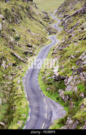 Una pecora passeggiate lungo il mountain pass road nel Ballaghbeama Gap nella Contea di Kerry, per l'Irlanda Penisola Iveragh. Foto Stock