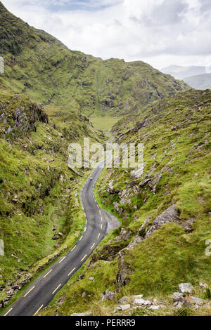 Una pecora passeggiate lungo il mountain pass road nel Ballaghbeama Gap nella Contea di Kerry, per l'Irlanda Penisola Iveragh. Foto Stock