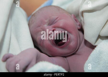 Un neonato prende il suo primo respiro momenti dopo l'uscita dal grembo materno Foto Stock