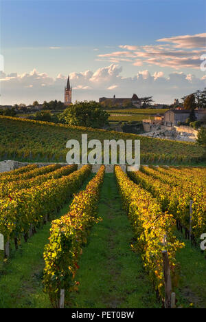 VIGNETO SAINT EMILION BORDEAUX con villaggio e chiesa di Saint Emilion al tramonto, dal vigneto color autunno Chateau Troplong Mondot Gironde Francia Foto Stock