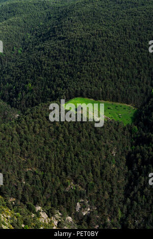 Primavera a Sant Julia de Loria, Andorra Foto Stock