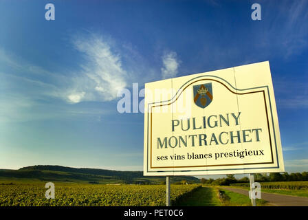 Segno Puligny-Montrachet ad ingresso a vigneti e il villaggio del vino, Puligny-Montrachet, Cote d'Or, Francia Foto Stock