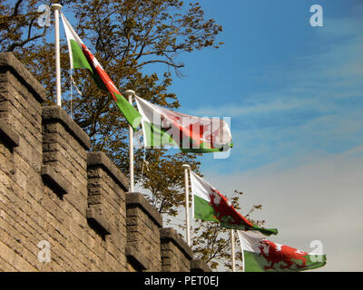 Welsh bandiere dal Castello di Cardiff nel centro della città Foto Stock