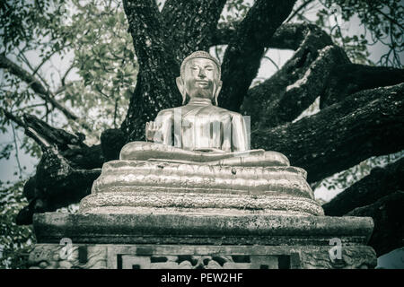 Bel golden immagine del Buddha sotto il grande albero nella foresta. Foto Stock