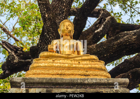 Bel golden immagine del Buddha sotto il grande albero nella foresta. Foto Stock