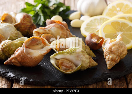 Delicatessen cibo: materie buccino, lumache di mare bulot e gli ingredienti su una scheda di ardesia su un tavolo. Posizione orizzontale Foto Stock
