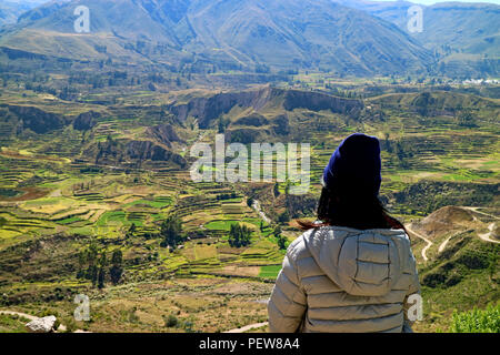 Turista femminile guardando i terrazzi agricoli nel Canyon del Colca, regione di Arequipa, Perù Foto Stock