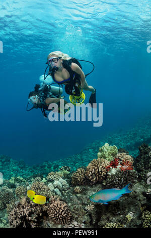 Due subacquei femmina (MR) su scooter subacqueo cruise su un reef off Maui, Hawaii. Foto Stock