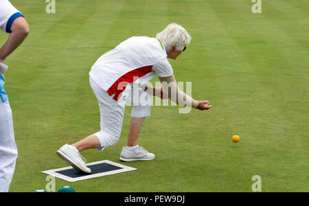 Un giocatore bowling il martinetto a la nazionale femminile Lawn Bowls campionati, Leamington Spa, Regno Unito Foto Stock