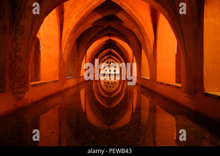 Simmetrica orizzontale del seminterrato bagno del Royal Alcazar di Siviglia in Spagna, con il tetto ad arco riflesso sull'acqua Foto Stock