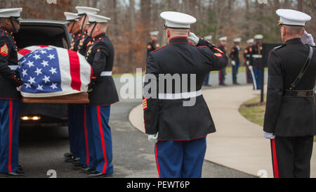 Il tenente gen. Jon M. Davis, destra, saluta il feretro del tenente Gen. William H. Fitch (Ret.) a Quantico Cimitero Nazionale, Febbraio 4, 2016 nel triangolo, Virginia. Fitch morì gennaio 19, 2016. Ha servito come sostituto del Comandante per l'aviazione prima che egli si ritirò nel 1984 dopo 32 anni come un Marine Corps officer. (U.S. Marine Corps foto di Sgt. Dylan Bowyer/ rilasciato) Foto Stock