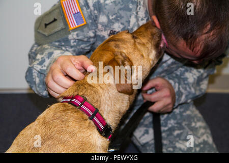 Un soldato riceve un bacio da Zoey la terapia cane a Embedded Behavioral Health Clinic su Hunter Army Airfield. Zoey si sono recentemente uniti al team e sta già avendo un impatto di guarigione sulla vita di soldati. (Foto di Dr. Tim Fortney) Foto Stock