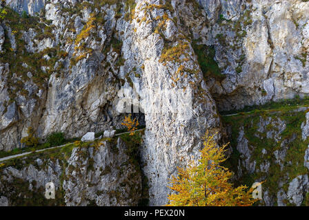 Veneto, Italia: Monte Grappa, sentiero numero 152, ex percorso militare della prima Guerra Mondiale. Sentiero CAI n.152, il sentiero è una vecchia mulattiera militare risalente alla grande Guerra. Esso collegava Val delle Mure con la prima linea Italiana su cima Palon. Foto Stock