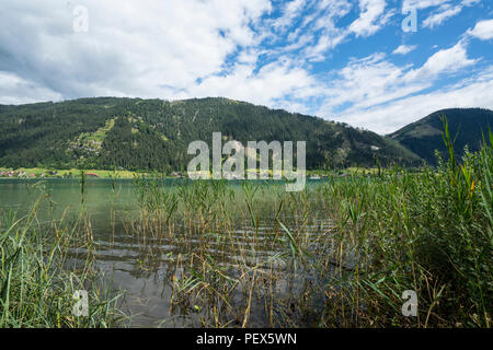 Vista la natura a Weissensee larinthia, Austria Foto Stock