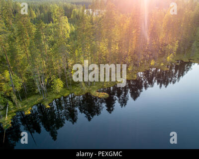 Vista aerea della foresta e piccolo lago o stagno in boreale taiga aka foresta in Finlandia Foto Stock