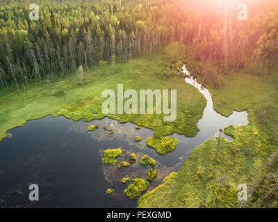 Vista aerea della foresta e piccolo lago o stagno in boreale taiga aka foresta in Finlandia Foto Stock