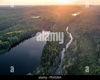 Vista aerea della foresta e piccolo lago o stagno in boreale taiga aka foresta in Finlandia Foto Stock