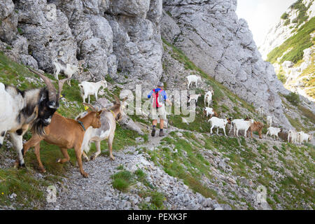 Vratca passano nei pressi del monte Vogel, il Parco Nazionale del Triglav, Slovenia Foto Stock