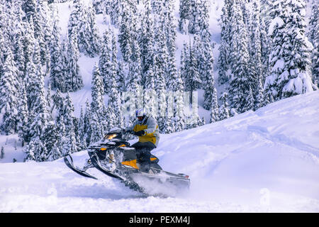 L'uomo jumping in motoslitta in Callaghan Valley, Whistler, British Columbia, Canada Foto Stock