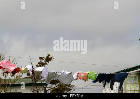 Panni in linea Elliston, Terranova, Canada. La cantina di radice dei capitali del mondo. Foto Stock