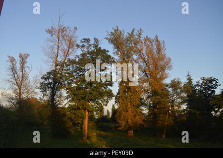 Teius Park in Caransebes al tramonto Foto Stock