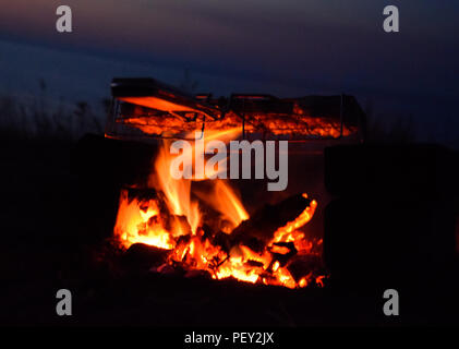 Hot cosce di pollo sul fuoco di notte sulla spiaggia. Foto Stock
