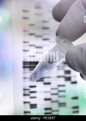 Scienziato tenendo un DNA (acido desossiribonucleico) campione in un tubo con i risultati illustrati su di un gel di DNA. Foto Stock